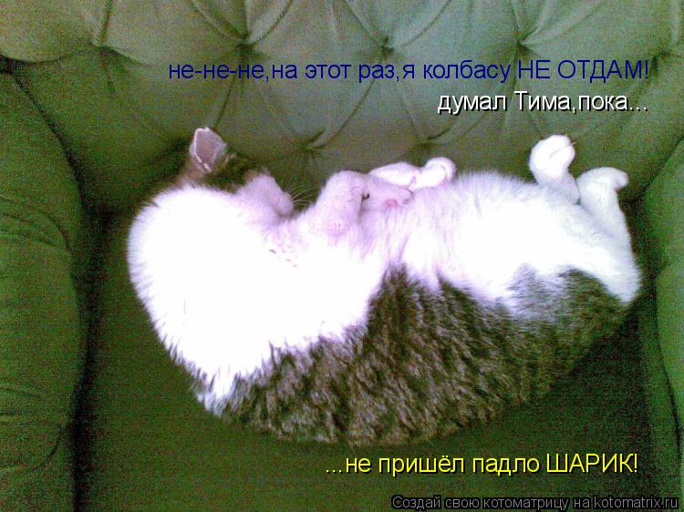 Котоматрица: не-не-не,на этот раз,я колбасу НЕ ОТДАМ!  не-не-не,на этот раз,я колбасу НЕ ОТДАМ!  думал Тима,пока... ...не пришёл падло ШАРИК!