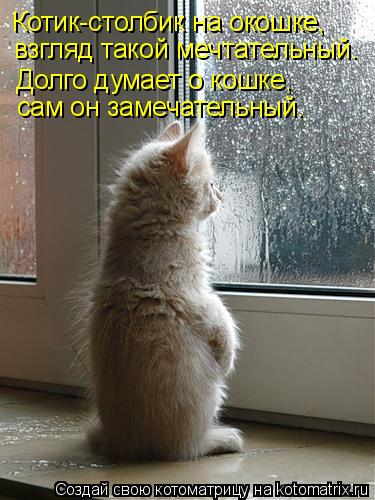 Котоматрица: Котик-столбик на окошке, взгляд такой мечтательный. Долго думает о кошке, сам он замечательный.