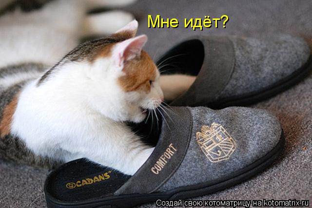 Котоматрица: Мне идёт?