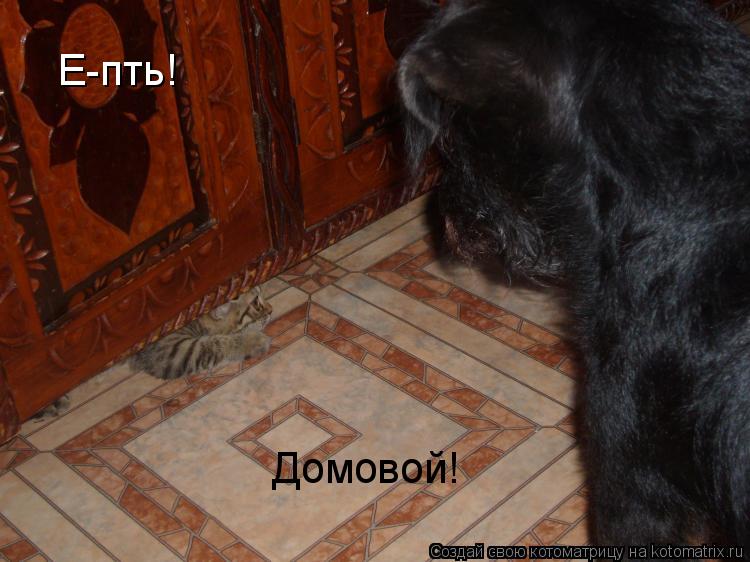 Котоматрица: Е-пть! Домовой!