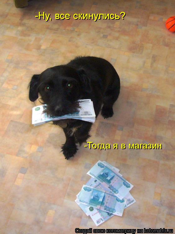 Котоматрица: -Ну, все скинулись? -Тогда я в магазин