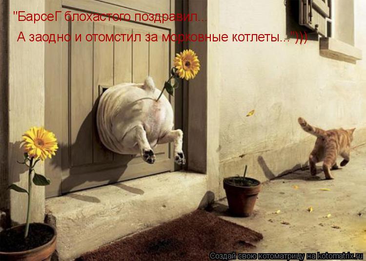 Котоматрица: "БарсеГ блохастого поздравил... А заодно и отомстил за морковные котлеты...")))