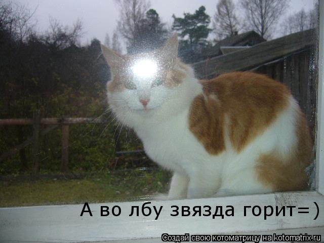 Котоматрица: А во лбу звязда горит=)