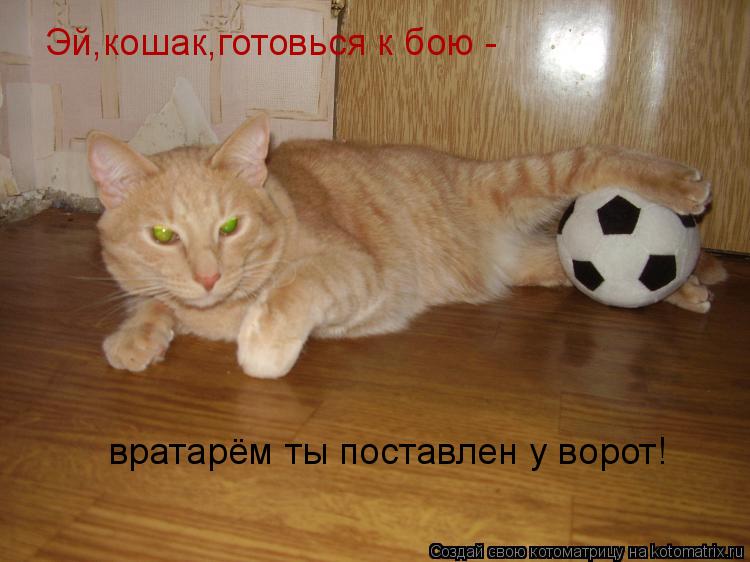 Котоматрица: Эй,кошак,готовься к бою - вратарём ты поставлен у ворот!