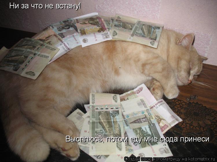 Котоматрица: Ни за что не встану! Высплюсь, потом еду мне сюда принеси