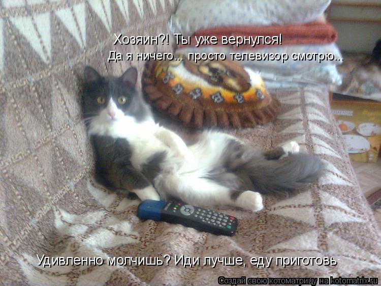 Котоматрица: Хозяин?! Ты уже вернулся! Да я ничего... просто телевизор смотрю... Удивленно молчишь? Иди лучше, еду приготовь