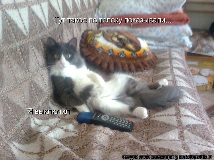Котоматрица: Тут такое по телеку показывали... Я выключил