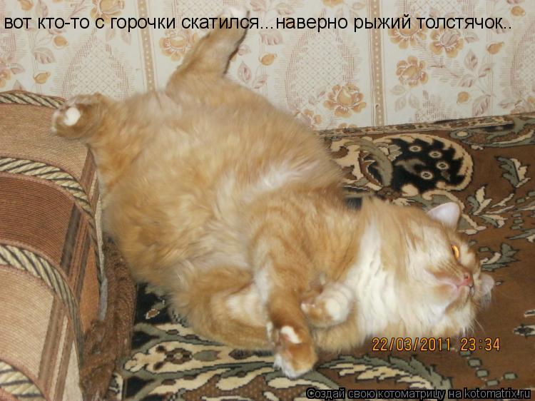 Котоматрица: вот кто-то с горочки скатился...наверно рыжий толстячок..