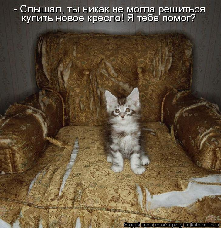 - Слышал, ты никак не могла решиться купить новое кресло! Я тебе помог?... Котоматрица: - Слышал, ты никак не могла решиться купить новое кресло! Я тебе помог?
