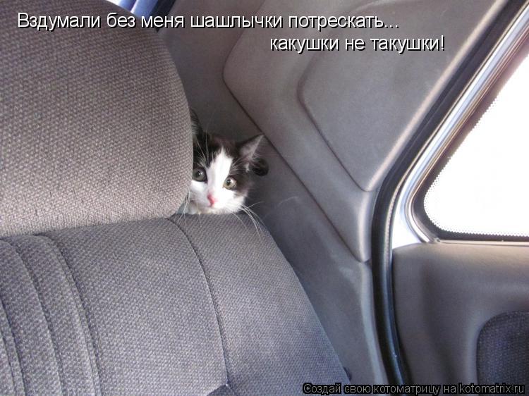 Котоматрица: Вздумали без меня шашлычки потрескать... какушки не такушки!