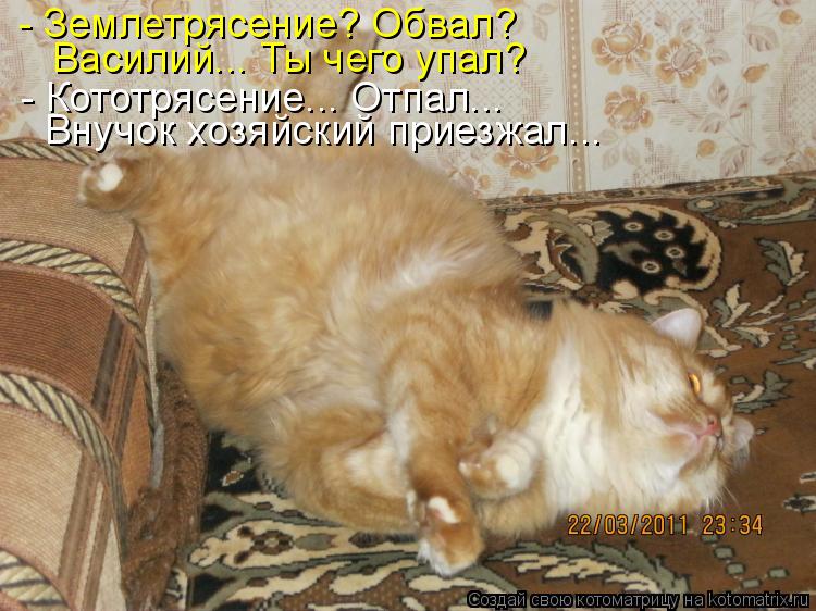 Котоматрица: - Землетрясение? Обвал? Василий... Ты чего упал? - Кототрясение... Отпал... Внучок хозяйский приезжал...