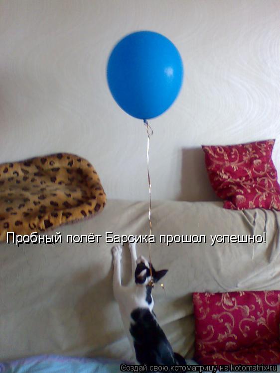 Котоматрица: Пробны Пробный полёт Барсика прошол успешно!