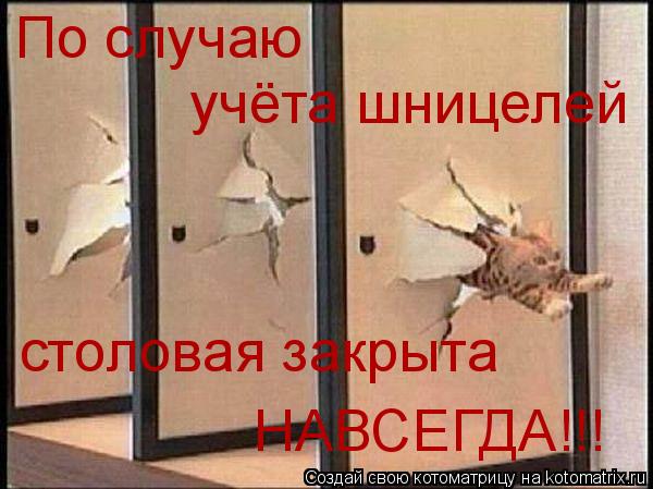 Котоматрица: По случаю учёта шницелей столовая закрыта НАВСЕГДА!!!