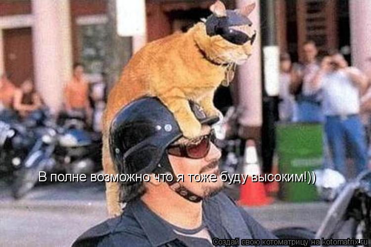 Котоматрица: В полне возможно что я тоже буду высоким!))