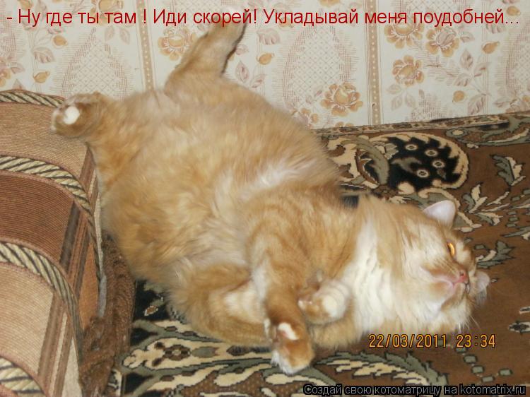 Котоматрица: - Ну где ты там ! Иди скорей! Укладывай меня поудобней...