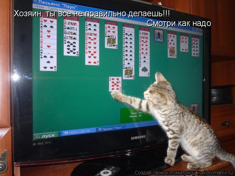 Котоматрица: Хозяин, ты все не правильно делаешь!!!  Смотри как надо