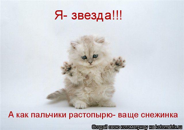 Котоматрица: Я- звезда!!! А как пальчики растопырю- ваще снежинка