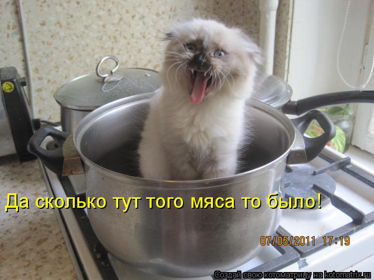 Котоматрица: Да сколько тут того мяса то было!