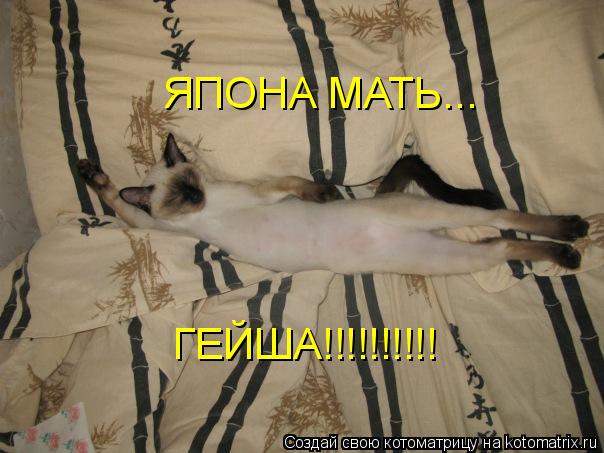 Котоматрица: ЯПОНА МАТЬ...  ГЕЙША!!!!!!!!!!