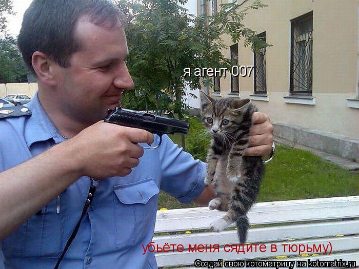 Котоматрица: я агент 007   убьёте меня сядите в тюрьму)