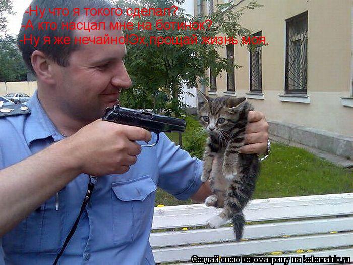 Котоматрица: -Ну что я токого сделал? -А кто насцал мне на ботинок? -Ну я же нечайно!Эх,прощай жизнь моя.