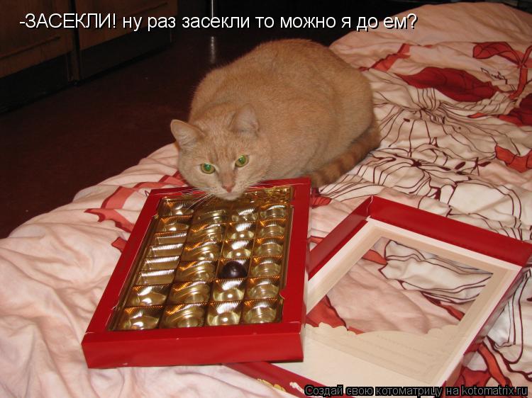 Котоматрица: -ЗАСЕКЛИ! ну раз засекли то можно я до ем?