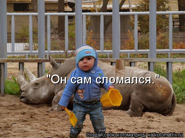 Котоматрица: "Он сам сломался."