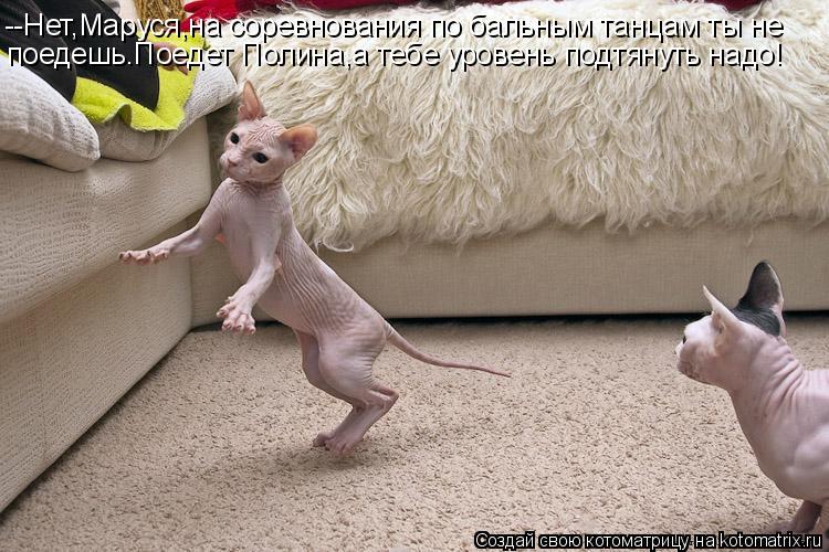 Котоматрица: --Нет,Маруся,на соревнования по бальным танцам ты не поедешь.Поедет Полина,а тебе уровень подтянуть надо!