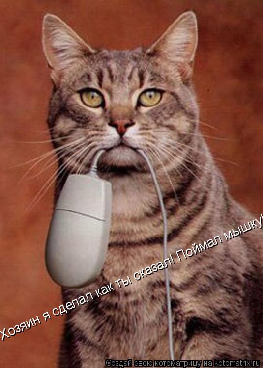 Котоматрица: Хозяин я сделал как ты сказал! Поймал мышку!!!!!!!
