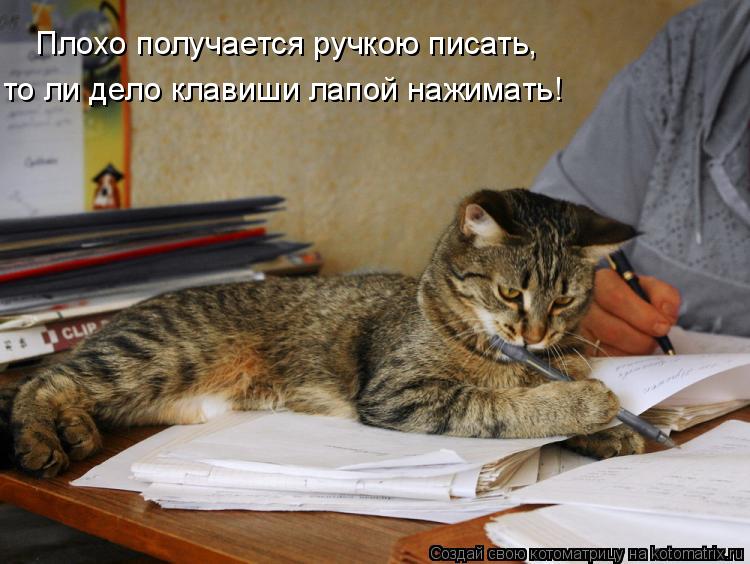 Котоматрица: Плохо получается ручкою писать, то ли дело клавиши лапой нажимать!