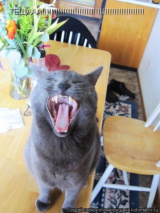 Котоматрица: ТЕЩААА!!!!!!!!!!!!!!!!!!!!!!!!!!!!!!!!!!!!!!!!!!!!