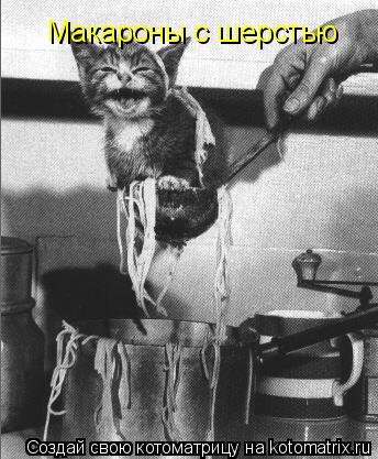 Котоматрица: Макароны с шерстью
