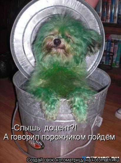 Котоматрица: -Слышь, доцент?! А говорил порожником пойдём