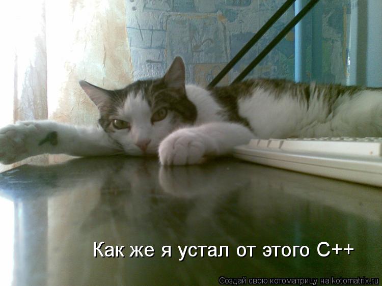 Котоматрица: Как же я устал от этого C++