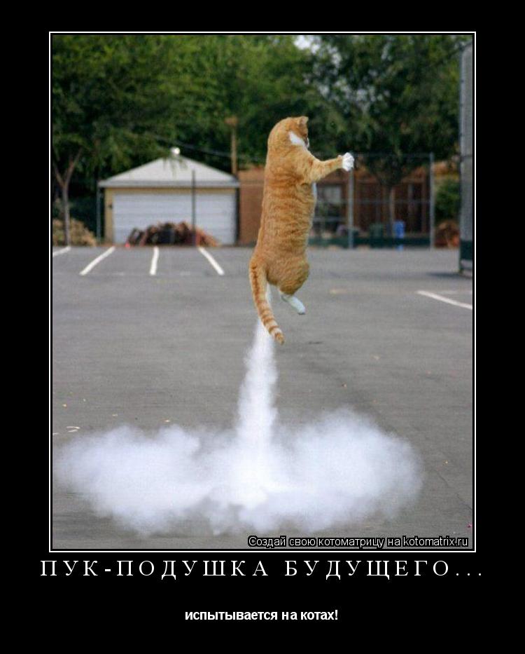 Котоматрица: Пук-подушка будущего... испытывается на котах!