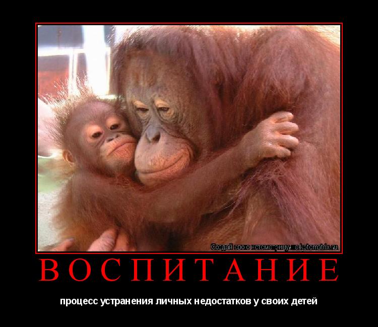 Котоматрица: воспитание процесс устранения личных недостатков у своих детей