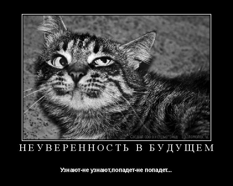 Котоматрица: Неуверенность в будущем Узнают-не узнают,попадет-не попадет...