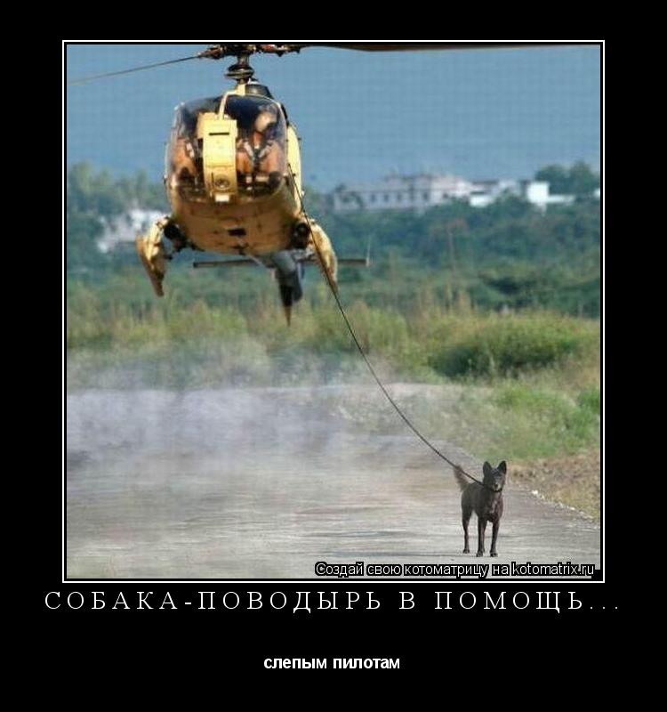 Котоматрица: Собака-поводырь в помощь... слепым пилотам