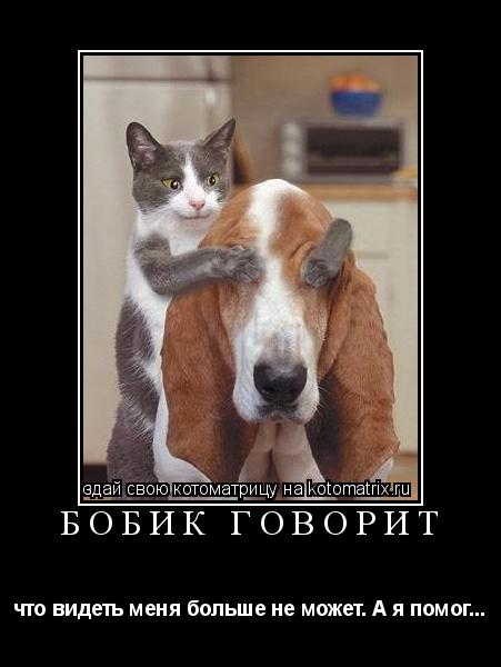 Котоматрица: Бобик говорит что видеть меня больше не может. А я помог...