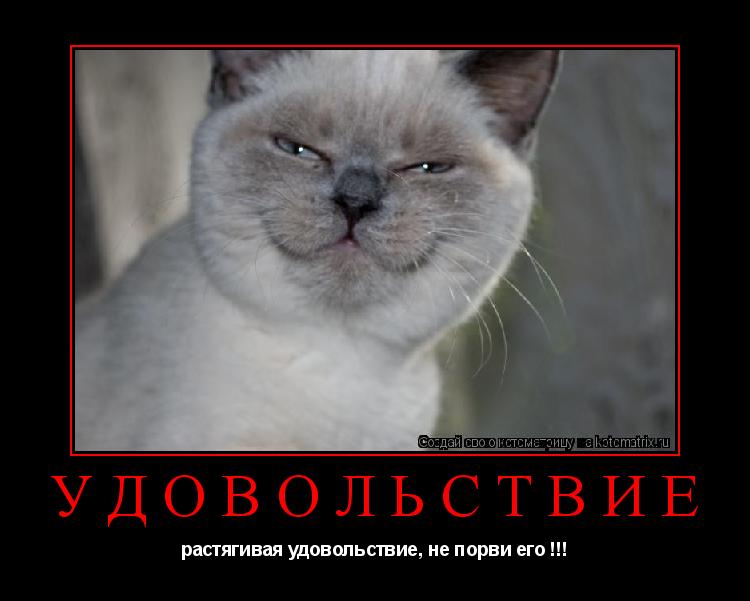 Котоматрица: удовольствие растягивая удовольствие, не порви его !!!
