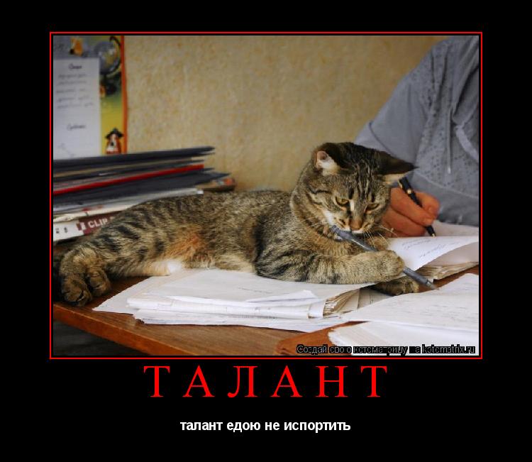 Котоматрица: талант талант едою не испортить
