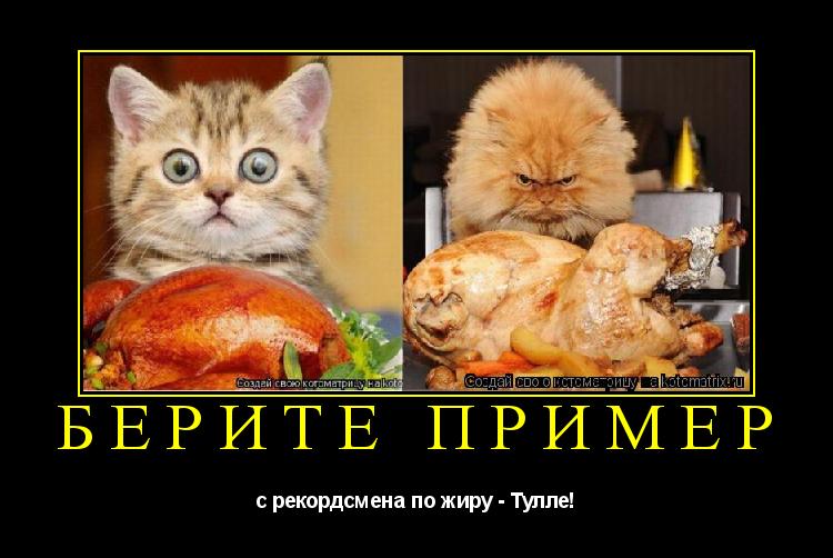 Котоматрица: Берите пример с рекордсмена по жиру - Тулле!