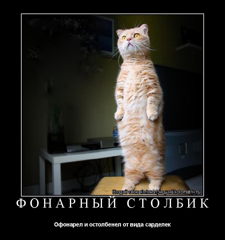 Котоматрица: Фонарный столбик Офонарел и остолбенел от вида сарделек