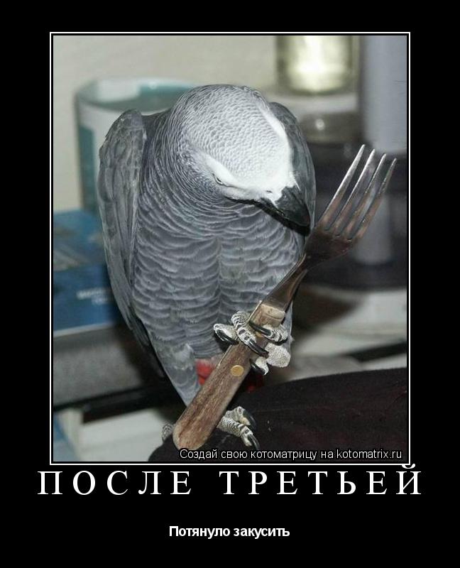 Котоматрица: После третьей Потянуло закусить