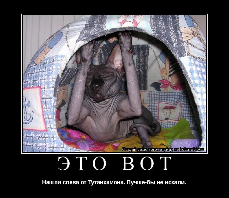 Котоматрица: Это вот Нашли слева от Тутанхамона. Лучше-бы не искали.