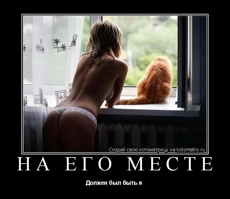 Котоматрица: На его месте Должен был быть я 