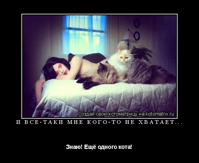 Котоматрица: И всё-таки мне кого-то не хватает... Знаю! Ещё одного кота!