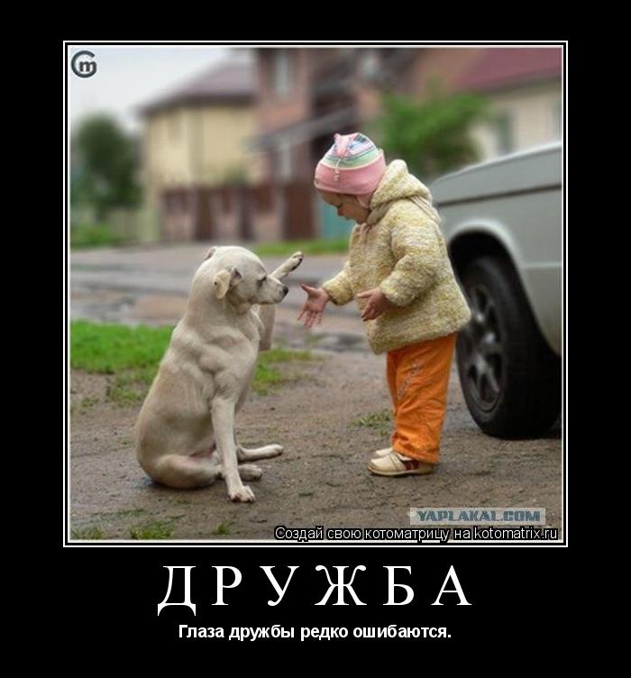 Котоматрица: дружба Глаза дружбы редко ошибаются.