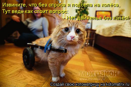Извините, что без спроса я подсела на колёса, Тут ведь как стоит вопрос: - Нет движенья без колёс!... Котоматрица: Извините, что без спроса я подсела на колёса, Тут ведь как стоит вопрос: - Нет движенья без колёс!
