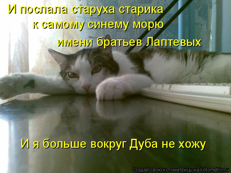 Котоматрица: И послала старуха старика к самому синему морю имени братьев Лаптевых И я больше вокруг Дуба не хожу